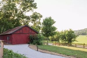 RYN - Barn