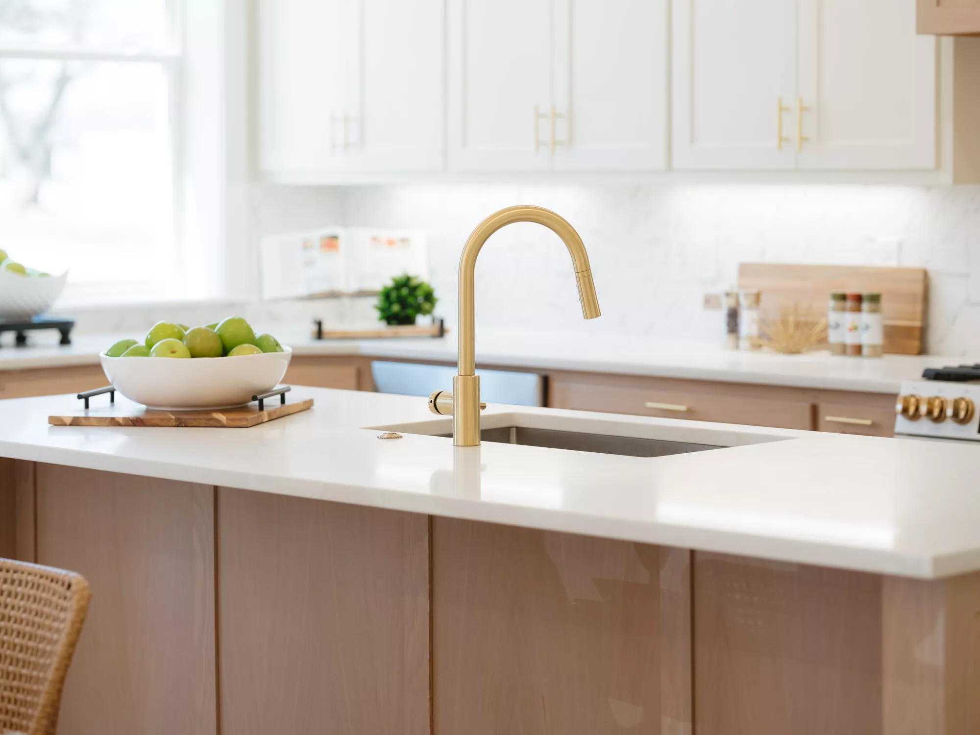 Greenhaw Pocket Neighborhood - Kitchen Sink