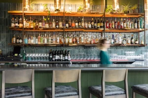 Conifer - Bar